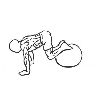 Exercise Ball Pull-In - Step 2