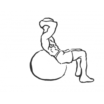 Exercise Ball Crunch - Step 2