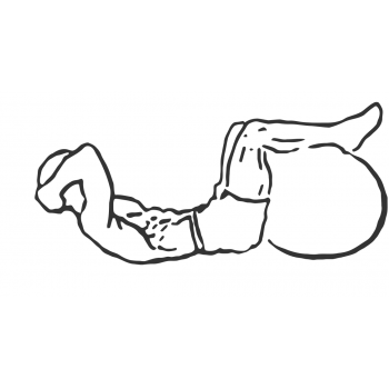 Crunch - Legs On Exercise Ball - Step 2