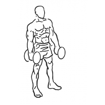 Forward Lunge with Bicep Curl - Step 1