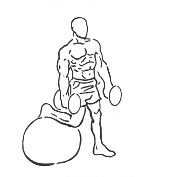 Bicep Curl on Stability Ball with Leg Raised - Step 1