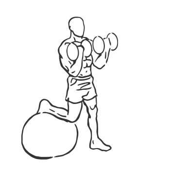 Bicep Curl on Stability Ball with Leg Raised - Step 2