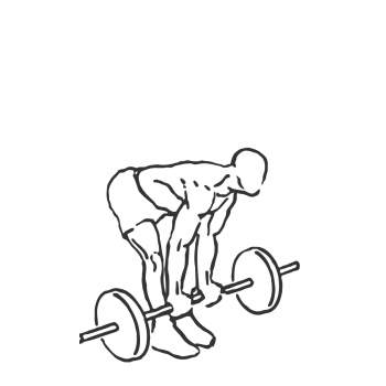 Bicep Curl with Deadlift - Step 1