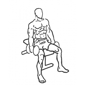 Seated Dumbbell Inner-Bicep Curl - Step 2