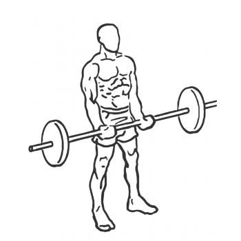 Close-Grip Standing Barbell Curl - Step 1
