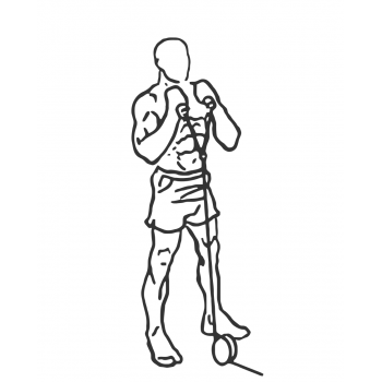 Cable Hammer Curls - Rope Attachment - Step 2