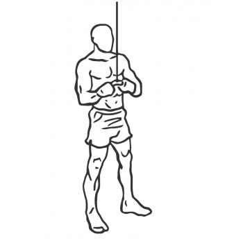 Triceps Pushdown - V-Bar Attachment - Step 1