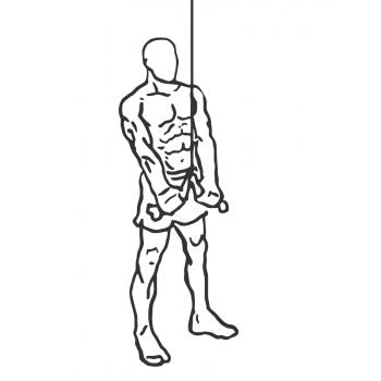 Triceps Pushdown - Rope Attachment - Step 2