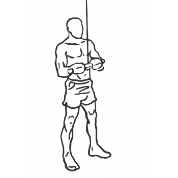 Triceps Pushdown - Step 1