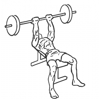 Reverse Triceps Bench Press - Step 2
