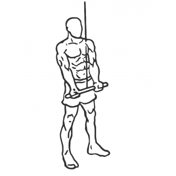 Reverse Grip Tricep Pushdown - Step 2