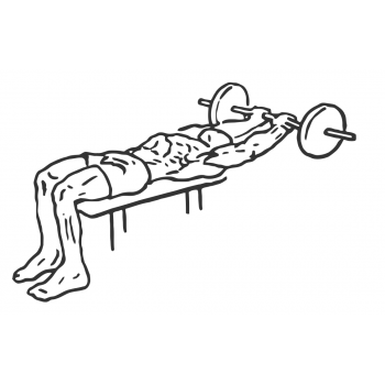 Lying Close-Grip Barbell Triceps Extension Behind Head - Step 2