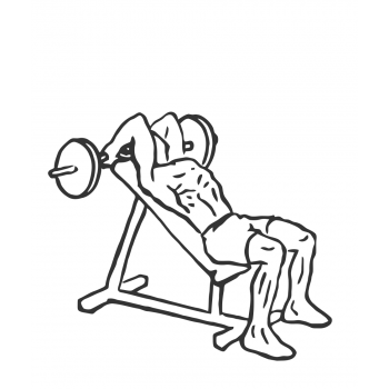 Barbell Incline Triceps Extension - Step 1