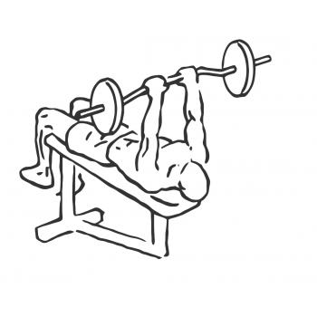 Decline Close Grip Bench To Skull Crusher - Step 2