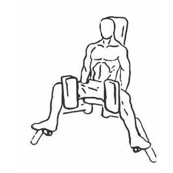 Thigh Adductor - Step 1