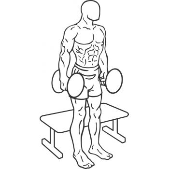 Dumbbell Squat To A Bench - Step 1