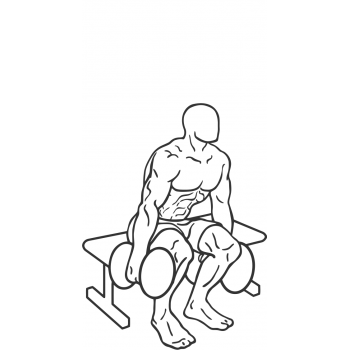 Dumbbell Squat To A Bench - Step 2