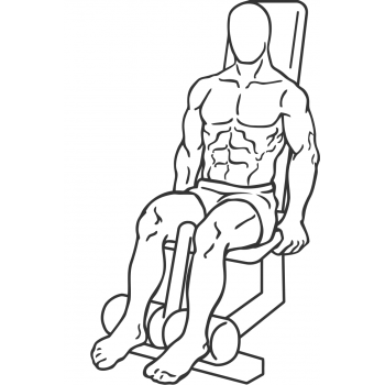 Seated Leg Curl - Step 1