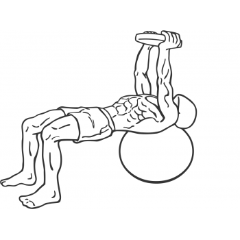 Pullover On Stability Ball With Weight - Step 1