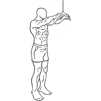 Straight-Arm Pulldown - Step 2
