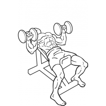 Incline Dumbbell Press - Step 2