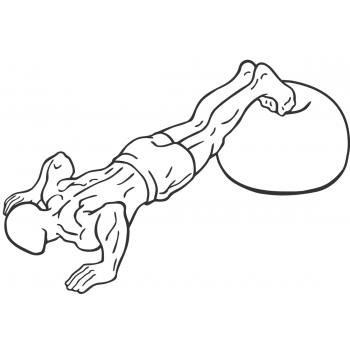 Push-Ups With Feet On An Exercise Ball - Step 2