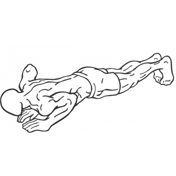 Push-Ups (Close and Wide Hand Positions) - Step 2