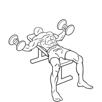 Dumbbell Flys - Step 2