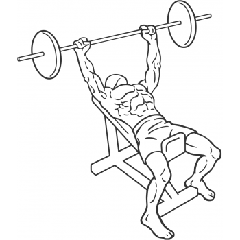 incline barbell bench press