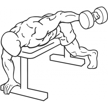 Dumbbell Lying One Arm Rear Lateral Raise - Step 1