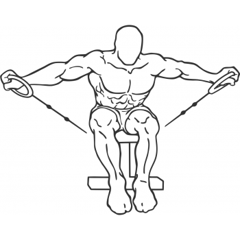 Cable Seated Rear Lateral Raise - Step 1