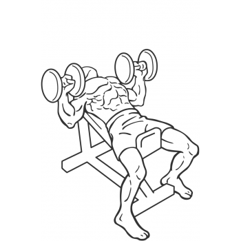 Dumbbell Incline Bench Press - Step 2