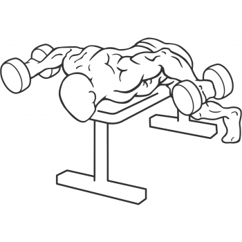 Dumbbell Lying Rear Lateral Raise - Step 1