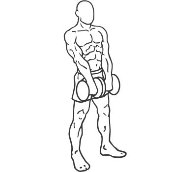Standing Dumbbell Upright Row - Step 2